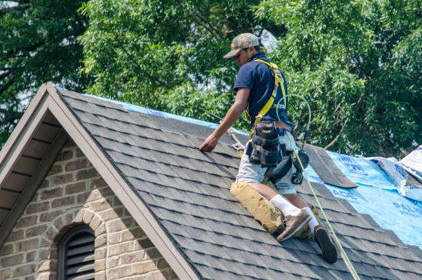 Roof Gutter Cleaning in Makakilo, HI